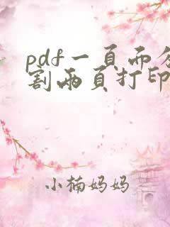 pdf一页面分割两页打印