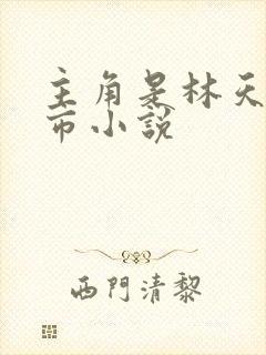 主角是林天的都市小说
