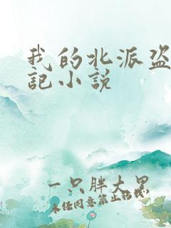 我的北派盗墓笔记小说