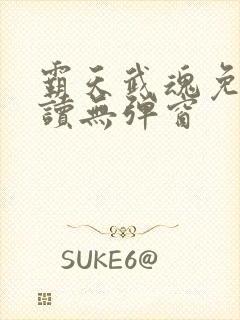 霸天武魂免费阅读无弹窗