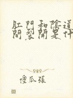 肛门和阴道口之间裂开是什么原因
