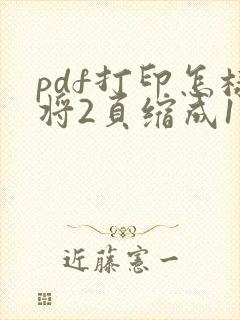 pdf打印怎样将2页缩成1页