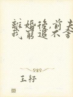 离婚后,前夫对我穷追不舍在线全文阅读