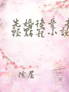 先婚后爱 老公轻点宠小说
