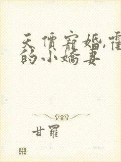 天价宠婚,霍总的小娇妻