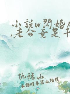 小说w闪婚成宠,老公竟是千亿大佬》