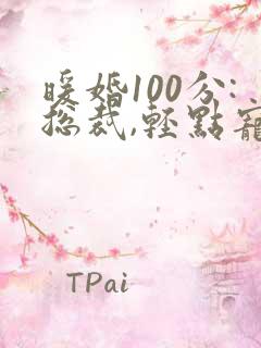 暖婚100分:总裁,轻点宠免费小说