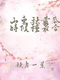 山东秋黄瓜什么时候种最合适