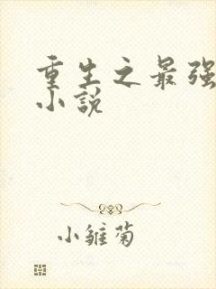 重生之最强仙帝小说