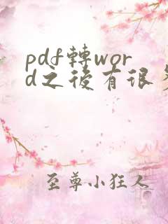 pdf转word之后有很多文本框