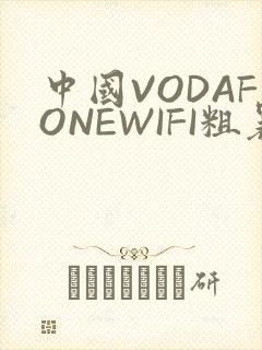中国VODAFONEWIFI粗暴APP