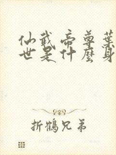仙武帝尊叶辰前世是什么身份