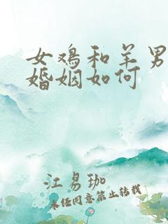 女鸡和羊男相配婚姻如何