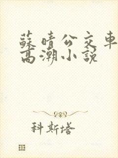 苏晴公交车被弄高潮小说