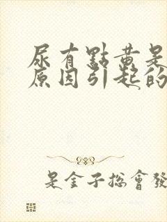 尿有点黄是什么原因引起的