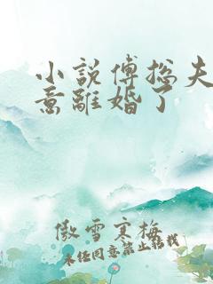 小说傅总夫人同意离婚了