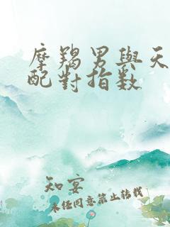 摩羯男与天蝎女配对指数