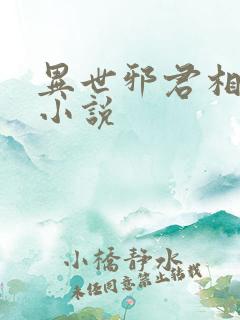 异世邪君相似的小说