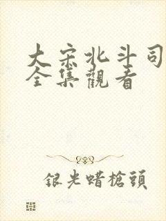 大宋北斗司免费全集观看