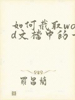 如何截取word文档中的一整个页面