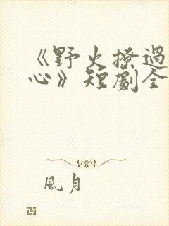 《野火撩过姐姐心》短剧全集