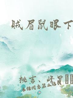 贼眉鼠眼下一句