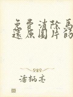 免费消除马赛克还原图片的软件
