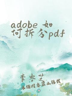 adobe 如何拆分pdf