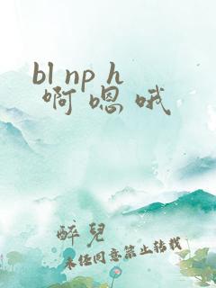 bl np h 啊 嗯 哦