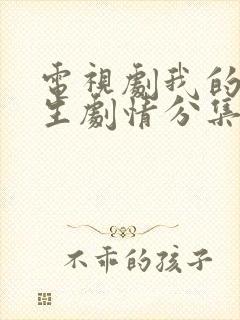 电视剧我的前半生剧情分集介绍