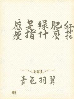 应是绿肥红瘦红瘦指什么花
