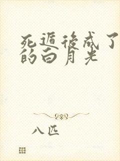 死遁后成了师尊的白月光