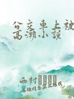公交车上被插到高潮小说