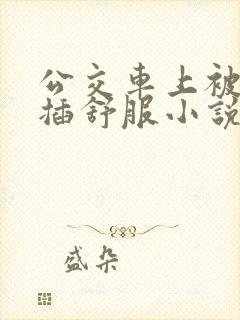 公交车上被摸被插舒服小说