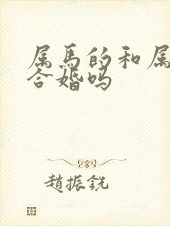 属马的和属兔的合婚吗