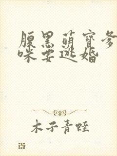 腹黑萌宝爹地妈咪要逃婚