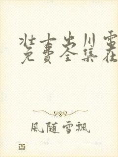 壮士出川电视剧免费全集在线观看