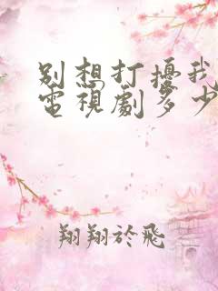 别想打扰我学习电视剧多少集