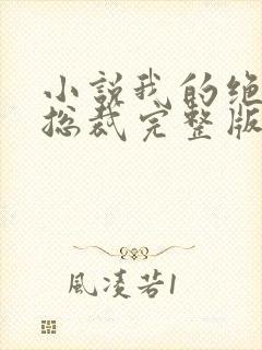 小说我的绝色女总裁完整版
