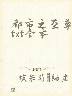 都市之至尊战神txt全本