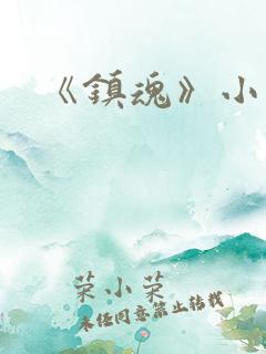 《镇魂》小说