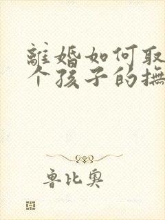 离婚如何取得两个孩子的抚养权