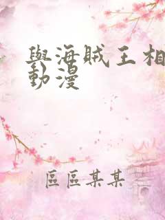 与海贼王相似的动漫