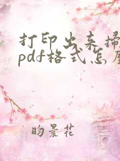 打印出来扫描成pdf格式怎么搞