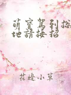 萌宝驾到总裁爹地请接招