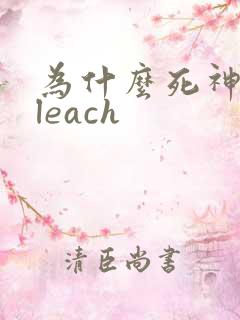 为什么死神叫bleach