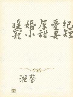 暖婚厚爱纪总独宠小甜妻短剧合集