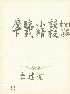 魔临小说txt下载精校版