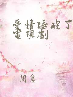 爱情睡醒了全集电视剧
