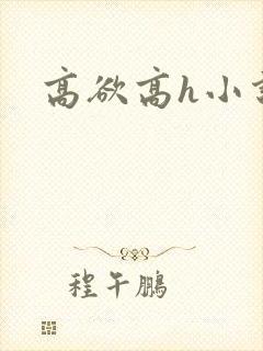 高欲高h小说